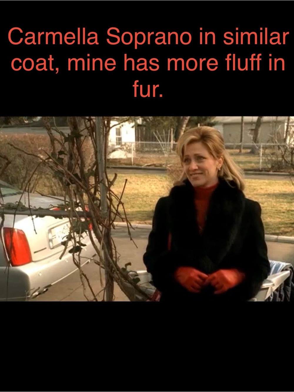 Black Wool Coat with Brown Fur Trim, Steve by Searle 2P - Picture 13 of 13